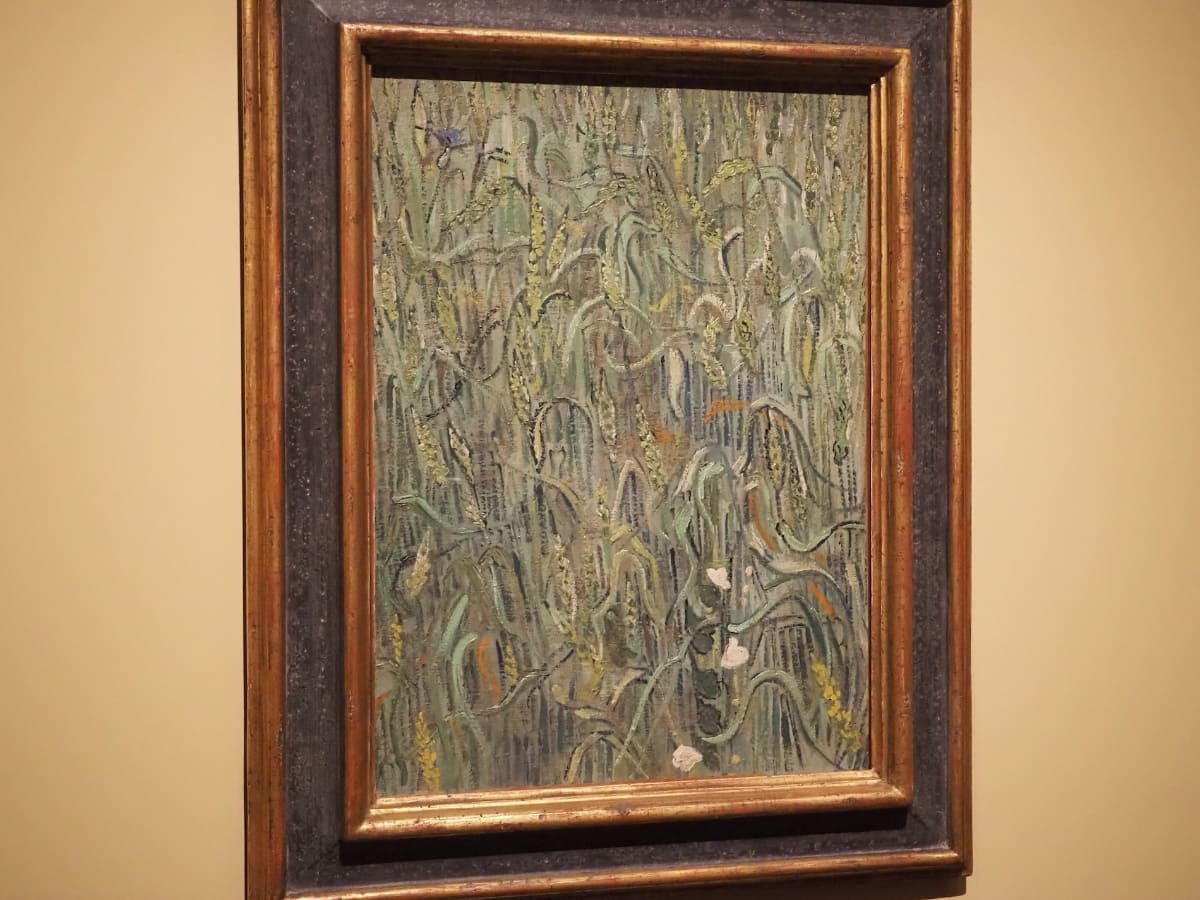 フィンセント・ファン・ゴッホ《麦の穂》1890年6月、オーヴェール=シュル=オワーズ。ファン・ゴッホ美術館、アムステルダム(フィンセント・ファン・ゴッホ財団)