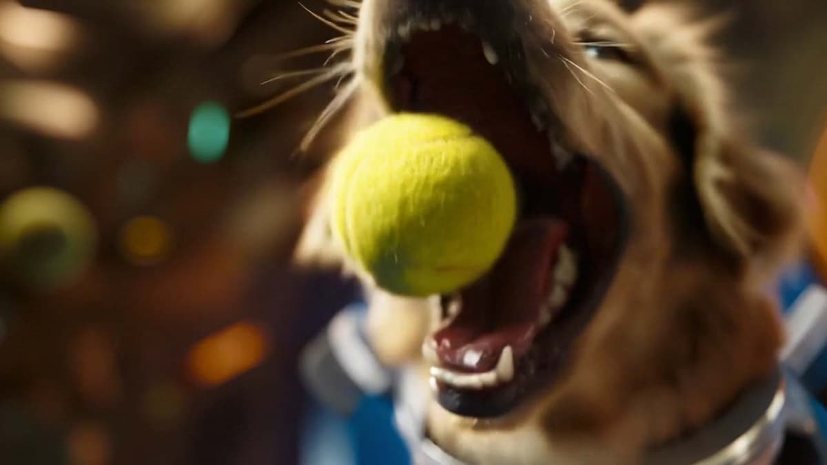 Sora 2で生成した動画。猫とトリプルアクセルなど(OpenAIのニュースリリースから)