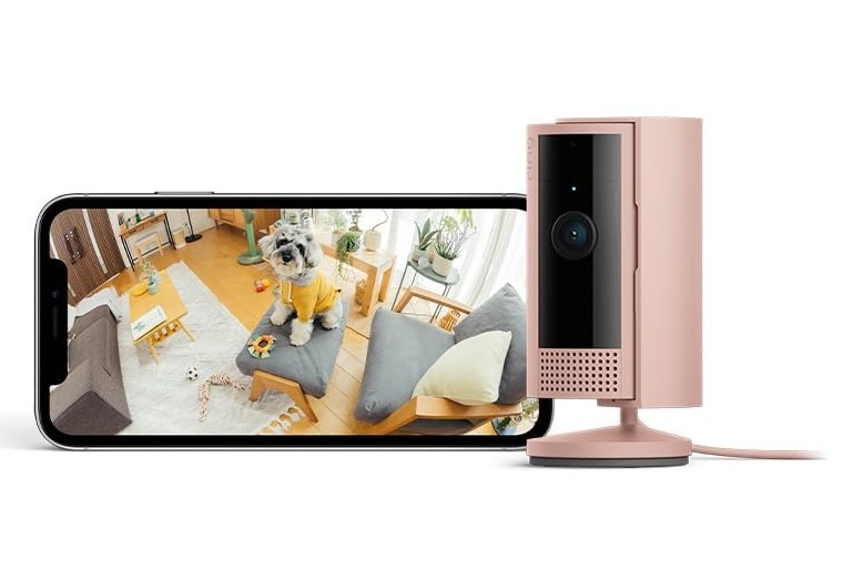 Ring Indoor Cam
