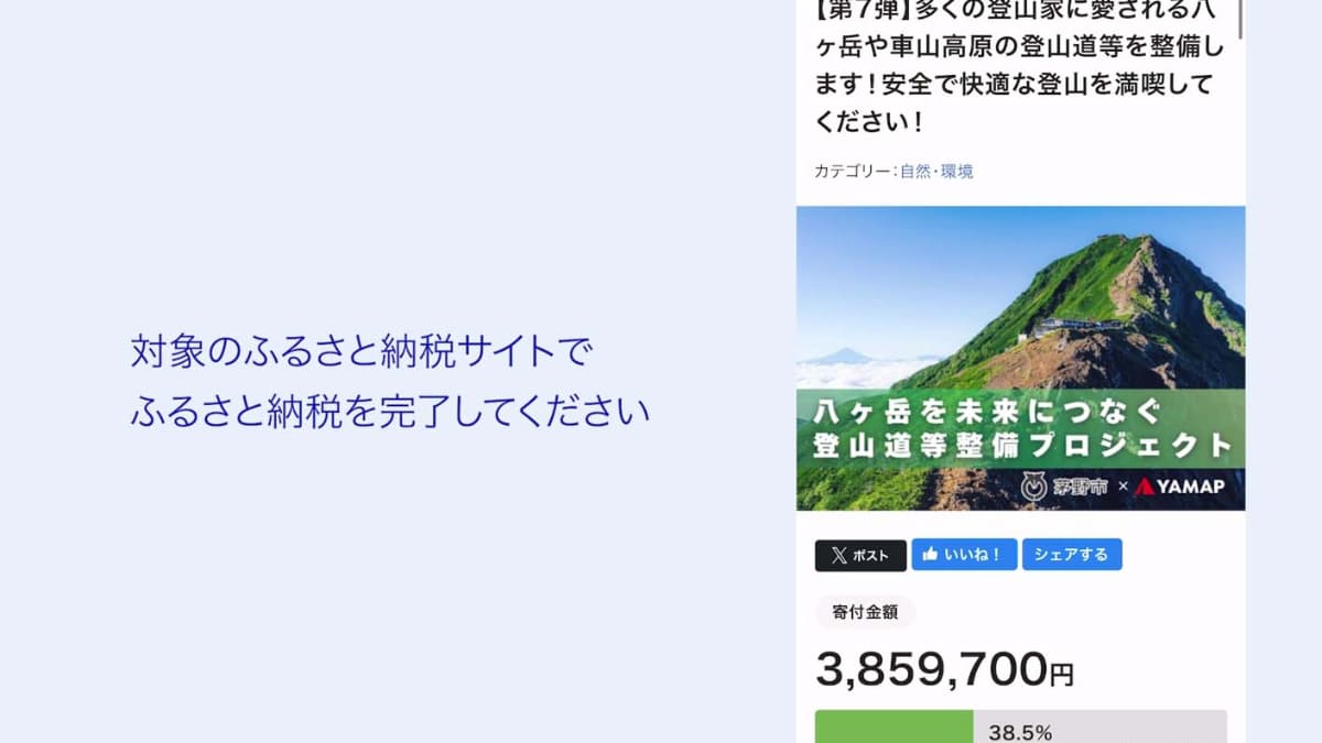 プロジェクトページからふるさと納税(提供：デジタル庁)