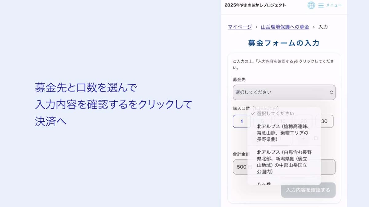 プロジェクトページからふるさと納税(提供：デジタル庁)