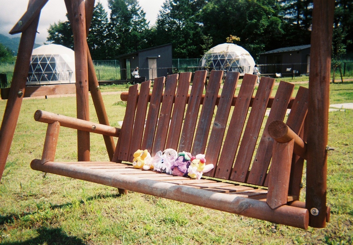 筆者の長女の「ぬい活」。「写ルンです」で撮影したとのこと