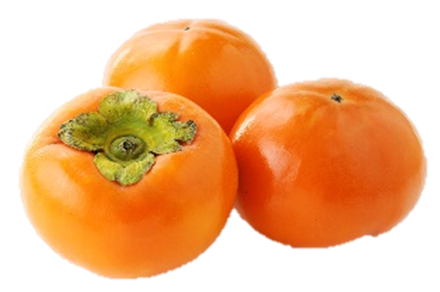 10月13日週から順次発売する柿