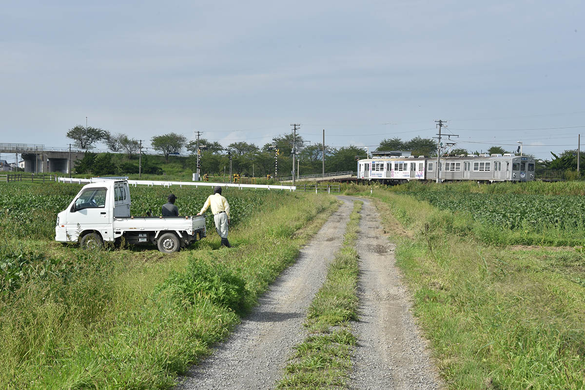 水田地帯を走る弘南線の電車
