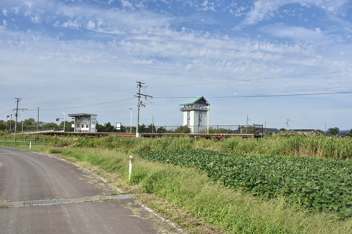 田んぼアート駅と展望塔