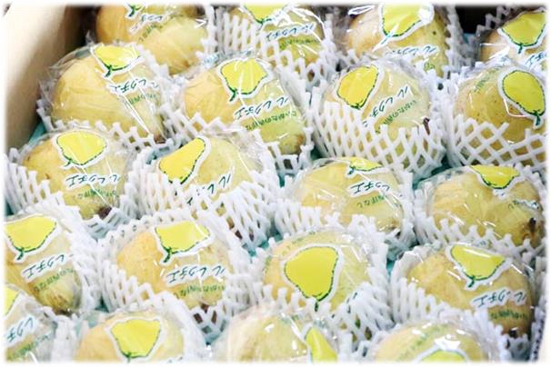 洋梨「ル レクチエ」