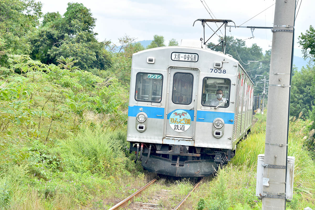 松木平駅に入線してきた大鰐線の電車