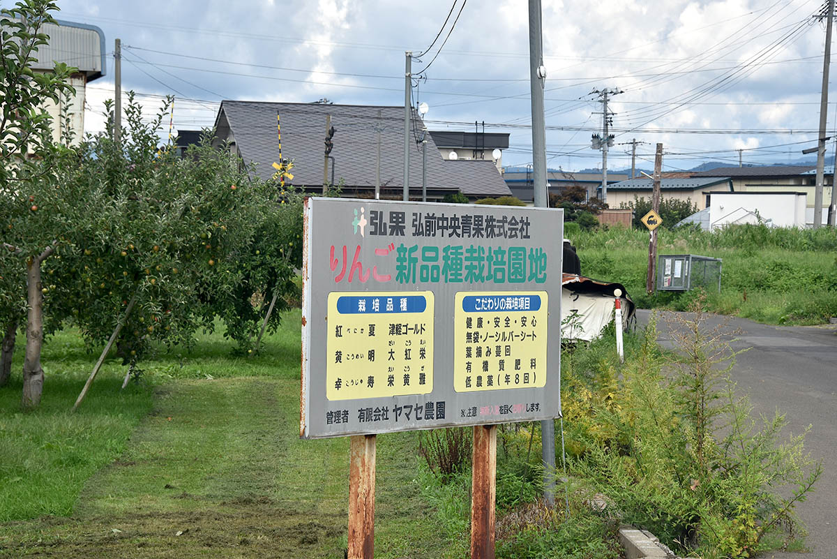 新品種栽培農園の看板。奥に見えるのは、大鰐線の踏切