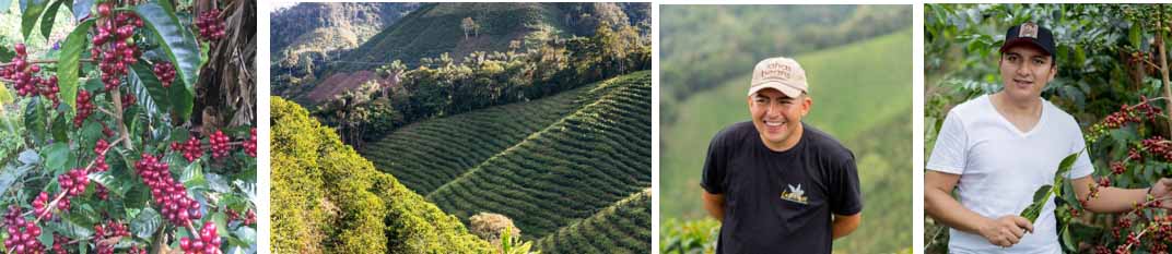 コロンビア産豆