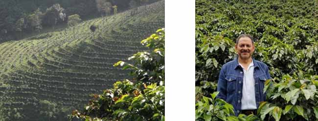 グァテマラ産豆