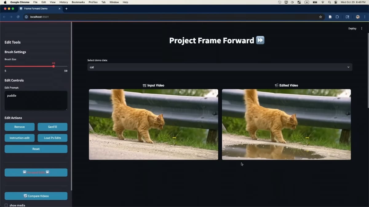 Project Frame Forward