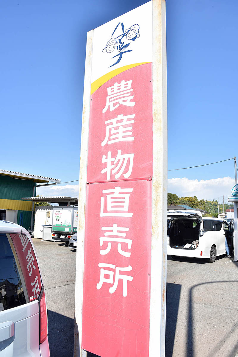 海軍道路沿いにはJAの農産物直売所があり、農業が盛んなエリアであることを実感させる