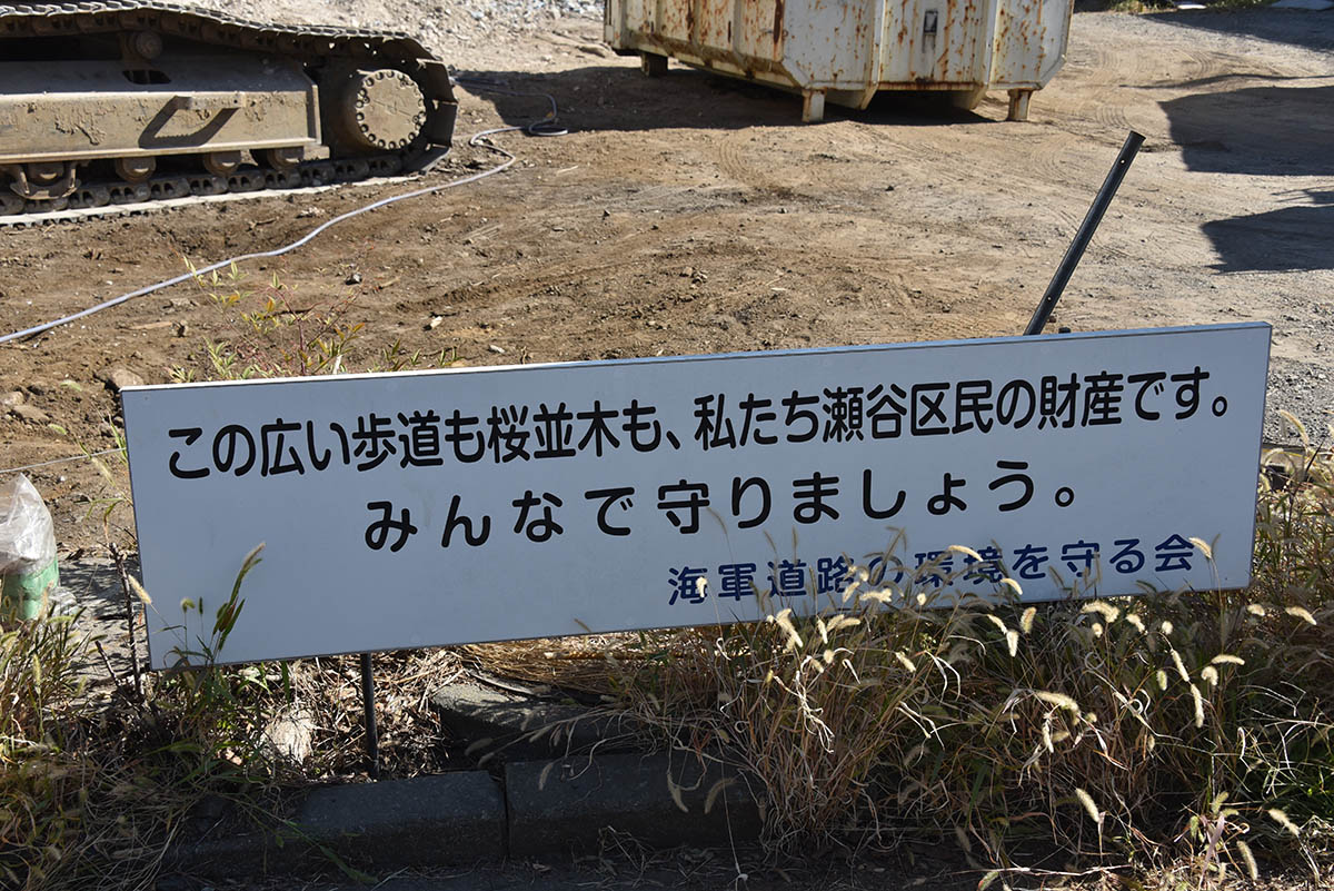 海軍道路の桜並木を守ろうと呼びかける看板(23年10月撮影)