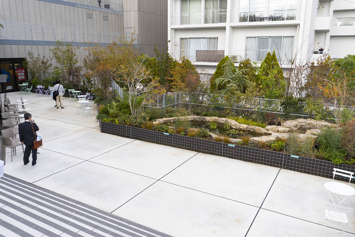 3階のテラスに設置されたビオトープ