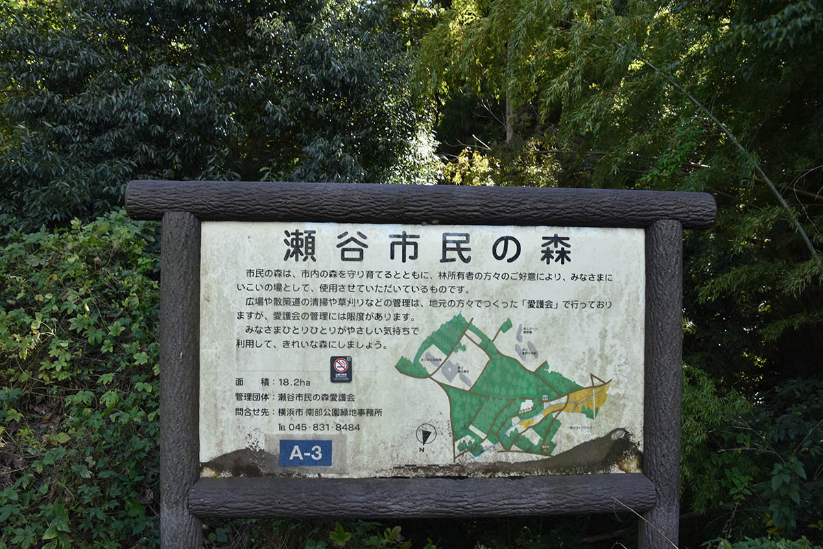上瀬谷パークの南側に広がる瀬谷市民の森。所有者の好意で一般開放されている