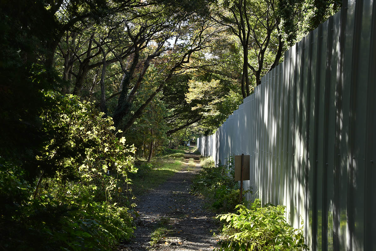 会場予定地の外側も、多くの緑で溢れている