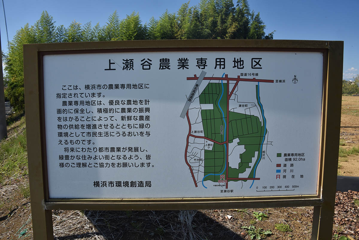 上瀬谷は農業専用地区になっている(2023年10月撮影)
