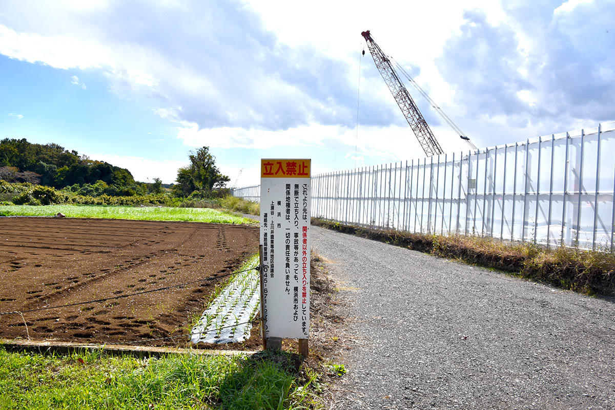 上瀬谷エリアには農地も多く残っている