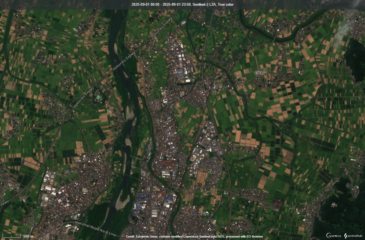Sentinel-2衛星から観測した新潟県に広がる水田地帯のトゥルーカラー画像(Credit: European Union, contains modified Copernicus Sentinel data 2025, processed with EO Browser)