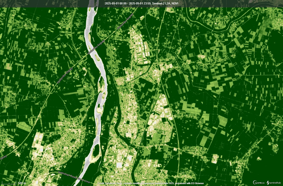 同じ地域の観測画像から作成したNDVI画像。緑が濃いエリアは植物が健康に成長している。市街地や河川は白っぽく見える(Credit: European Union, contains modified Copernicus Sentinel data 2025, processed with EO Browser)