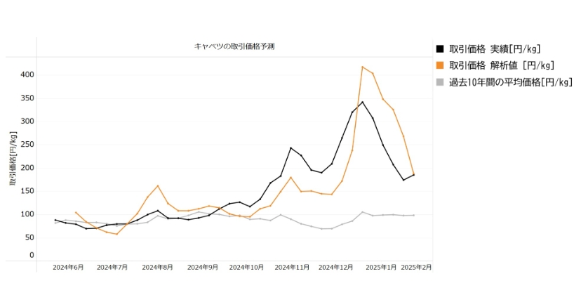 2024年末のキャベツの高騰事例