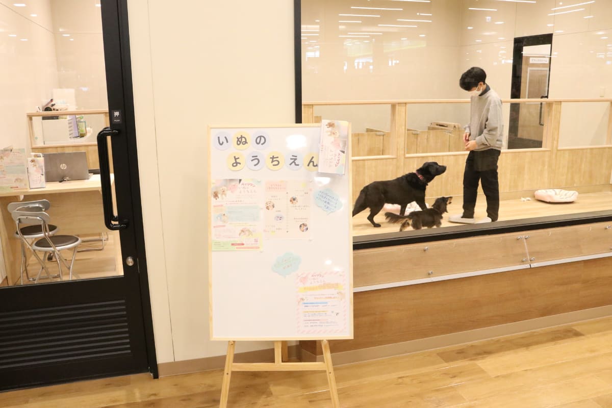 しつけと社会性を学べる「いぬのようちえん」