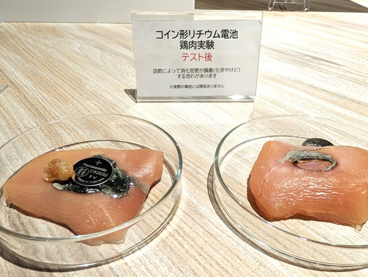 鶏肉での損傷実験。20分ほど経過したものだという