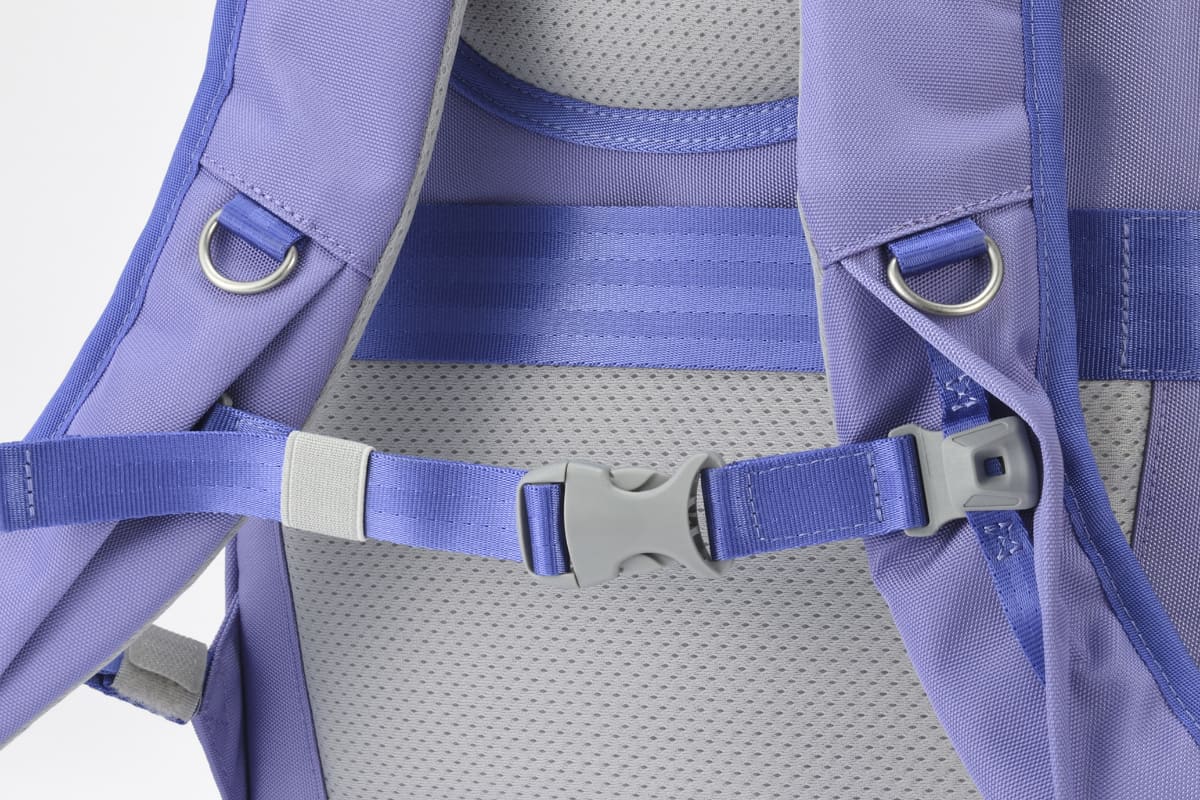 ショルダーハーネス、チェストベルト