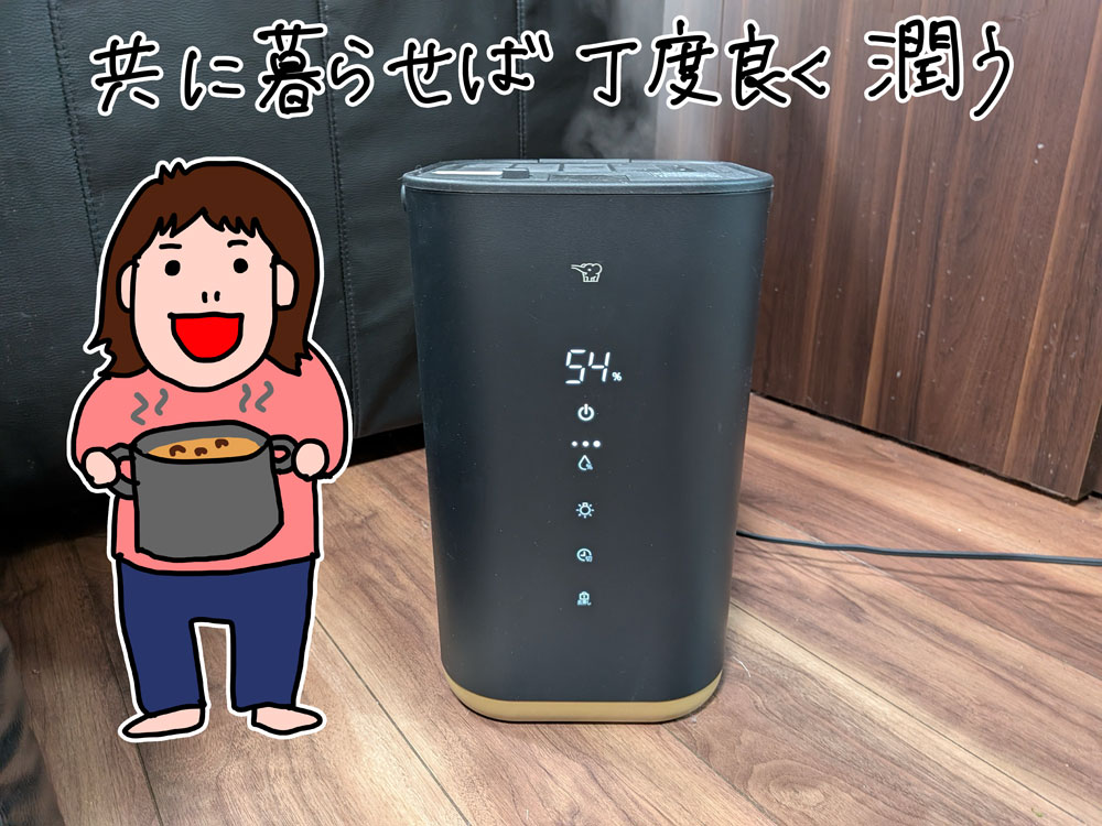 生活していたらちょうど快適湿度くらいに保てるので、使い方によっては1台で十分