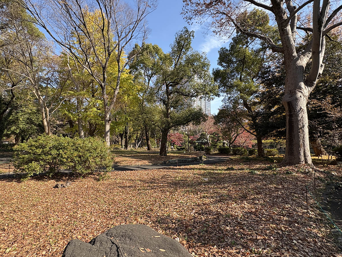 雲形池周辺
