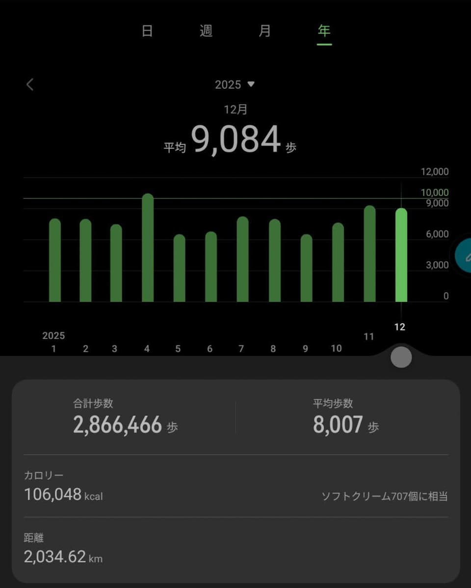 Huaweiヘルスケアアプリによると、今年は歩数換算で2,030kmほど歩いたらしいです。ちなみにランニングなども含む距離換算の項目では約2,080kmでした