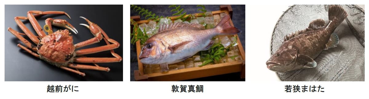 福井の水産品