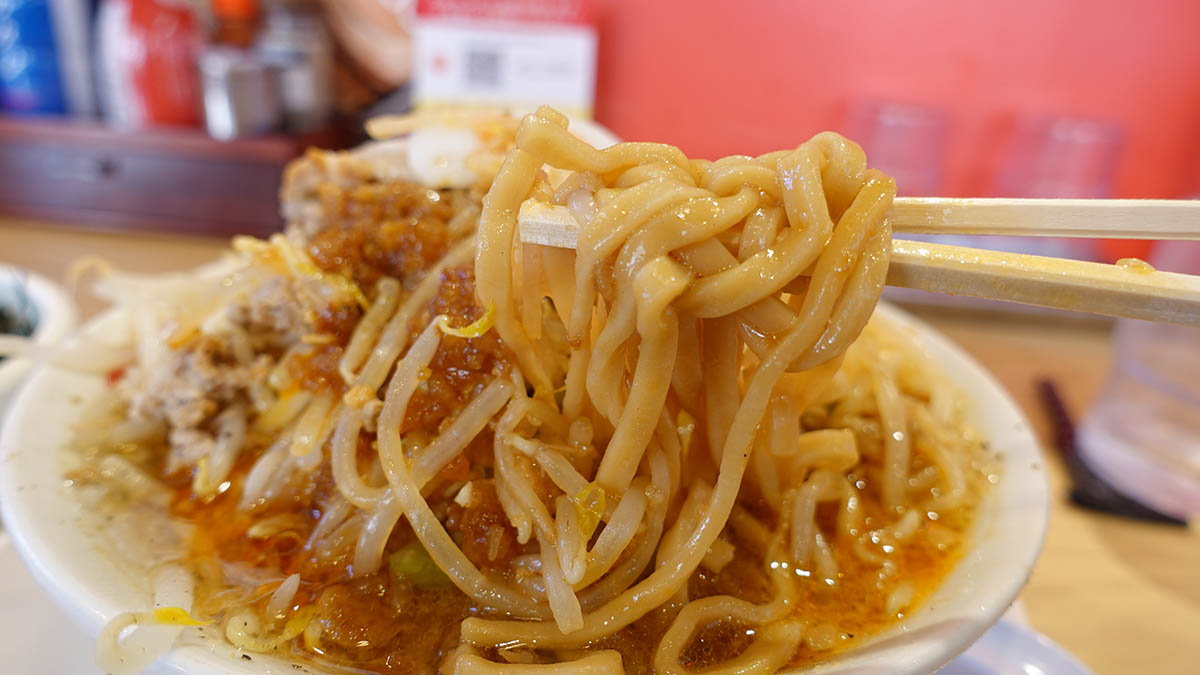ワシワシとした極太麺。食べ応えがある
