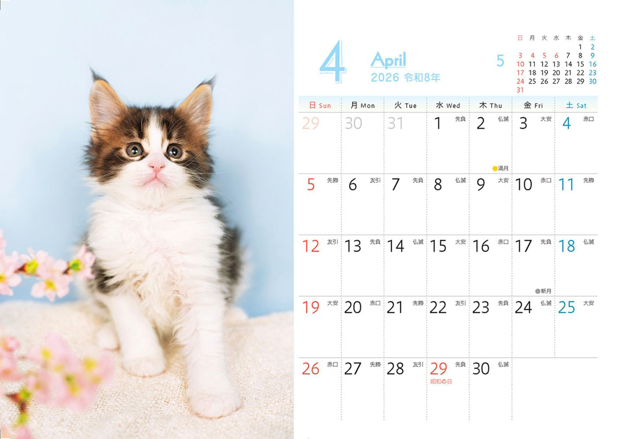 <a href="https://book.impress.co.jp/books/1125102029">出典：もふもふこねこ mini(インプレスカレンダー2026)</a>