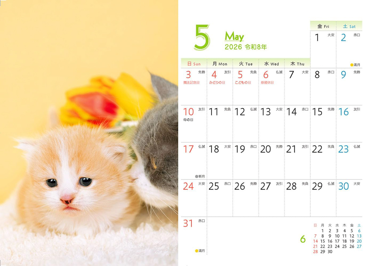 <a href="https://book.impress.co.jp/books/1125102029">出典：もふもふこねこ mini(インプレスカレンダー2026)</a>