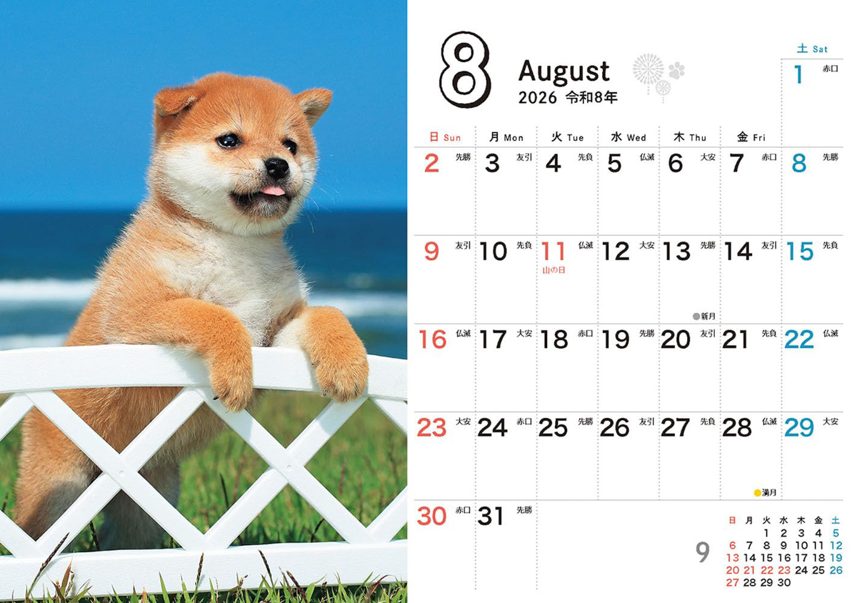 <a href="https://book.impress.co.jp/books/1125102035">出典：しばいぬ日和 mini(インプレスカレンダー2026)</a>