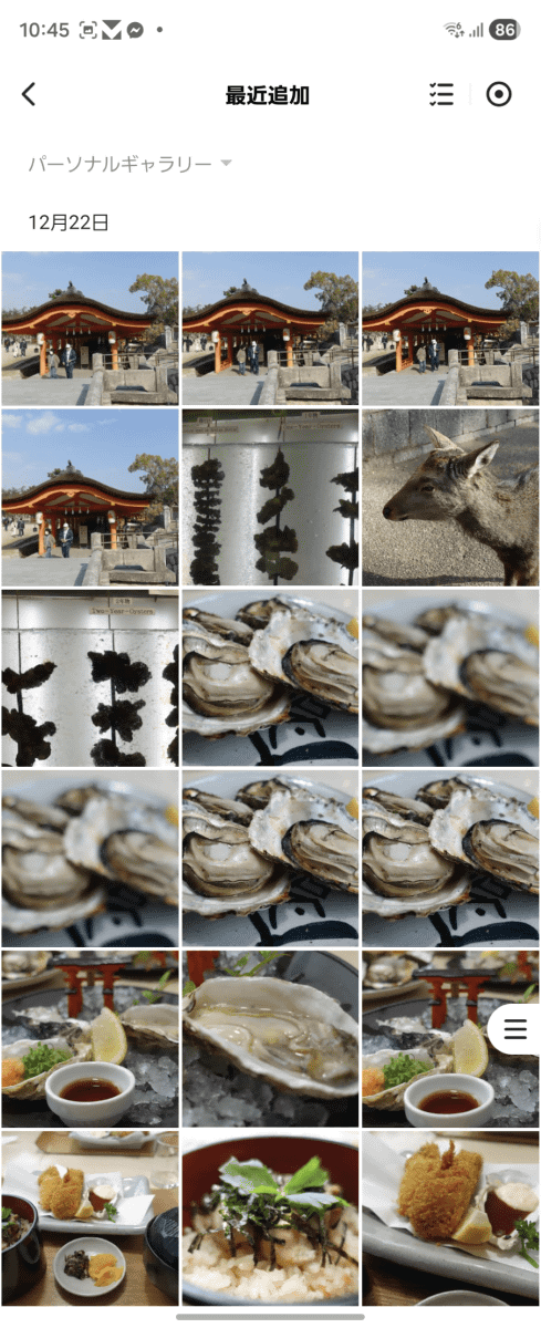 画像ギャラリー