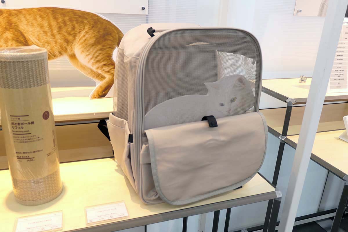 キャリーバッグ リュック型。メッシュ素材で通気性が良く、ペットが外を見れます