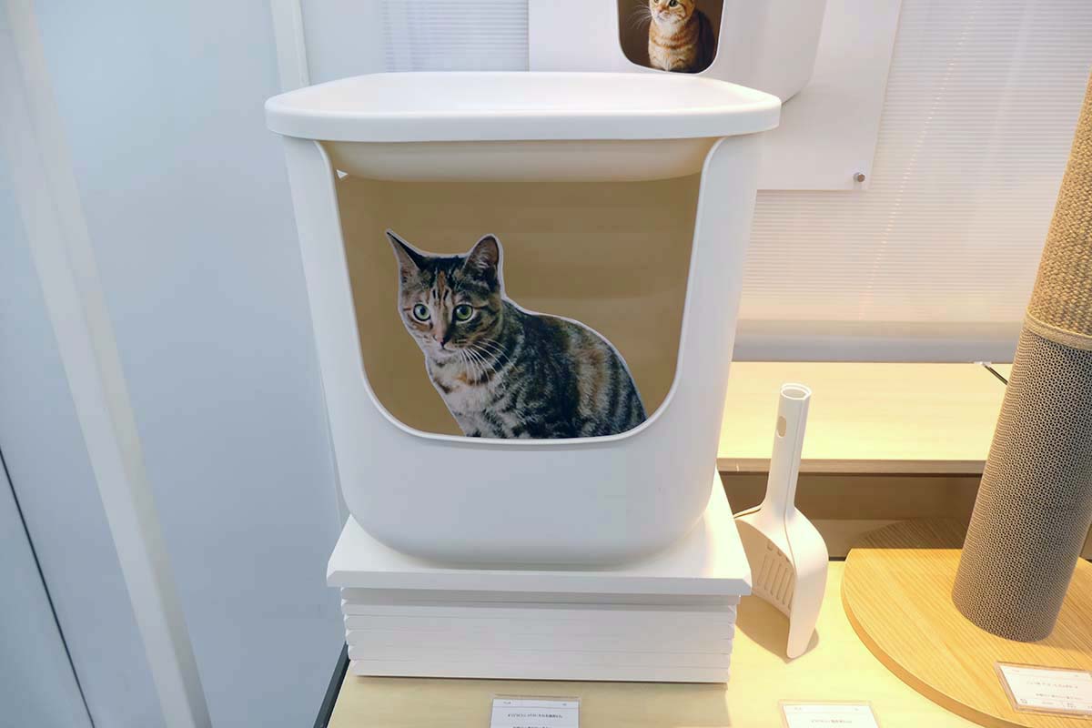 ポリプロピレン ハウスにもなる猫用トイレ