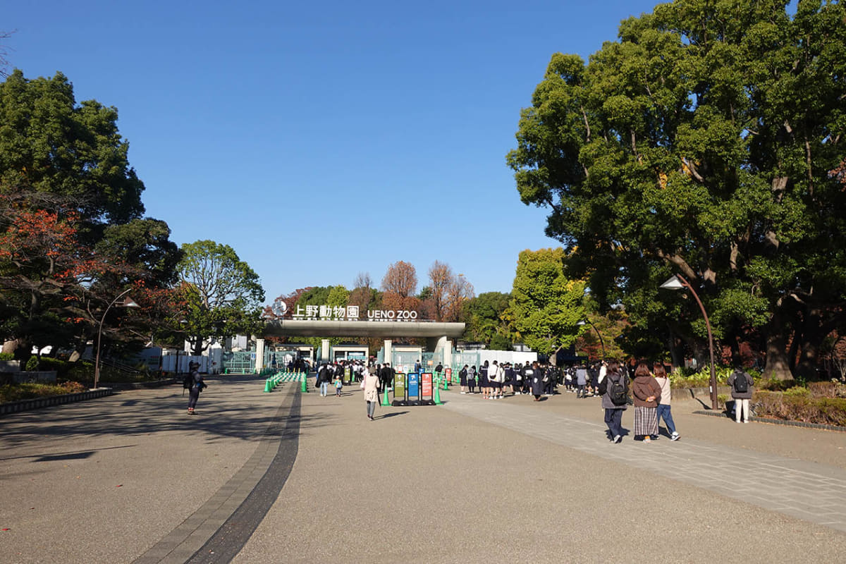 上野動物園正門