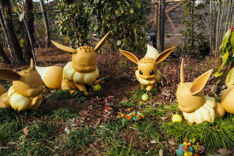 ポケパーク カントー」2月5日開園 600匹超のポケモンに会える