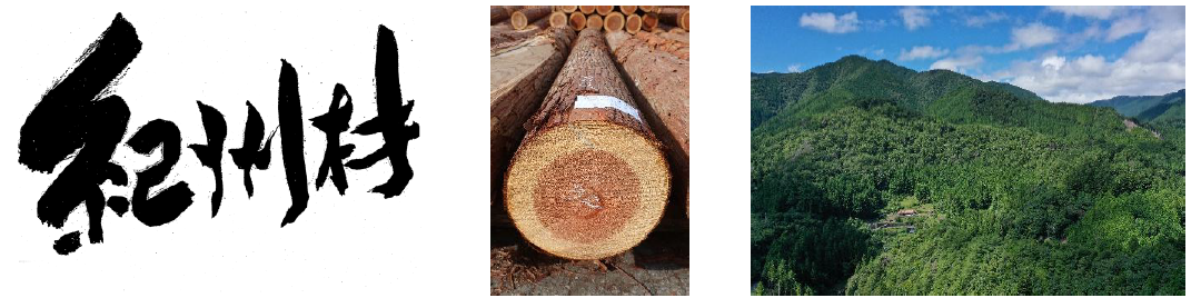 和歌山県産の「紀州材」