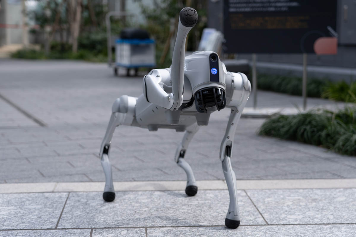 令和の忠犬 鉢公