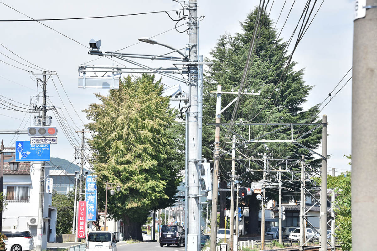 上松川駅-笹谷駅間に立つ御神木のような巨木