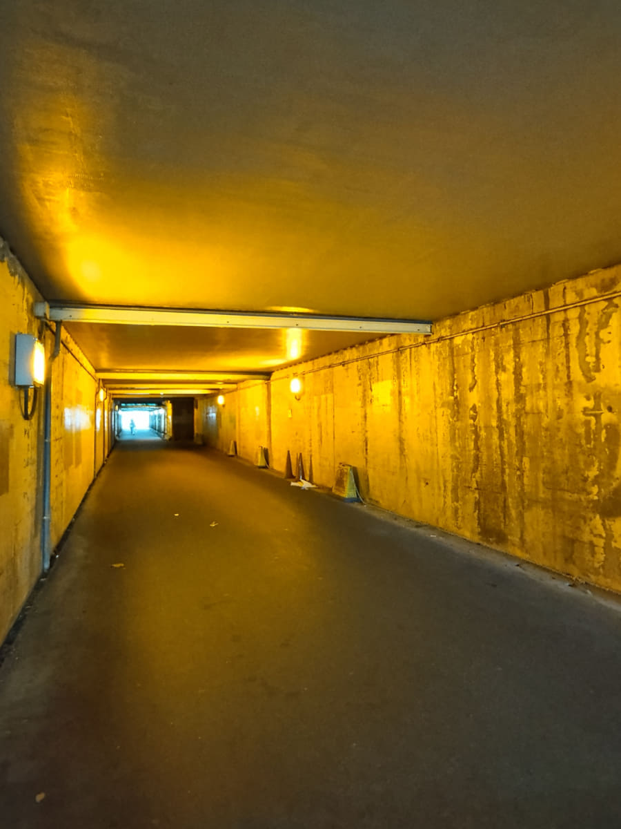 明所、低照度、暗所での作例