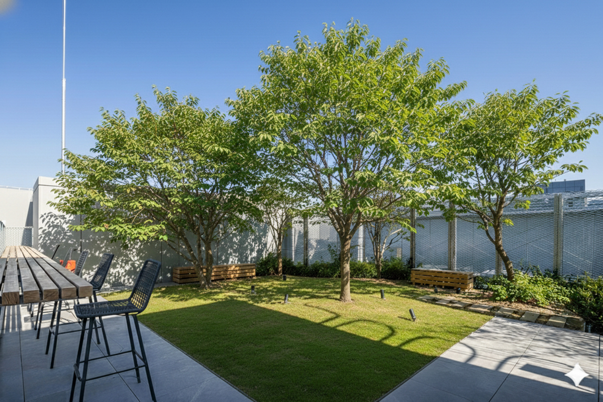 ルーフトップテラス