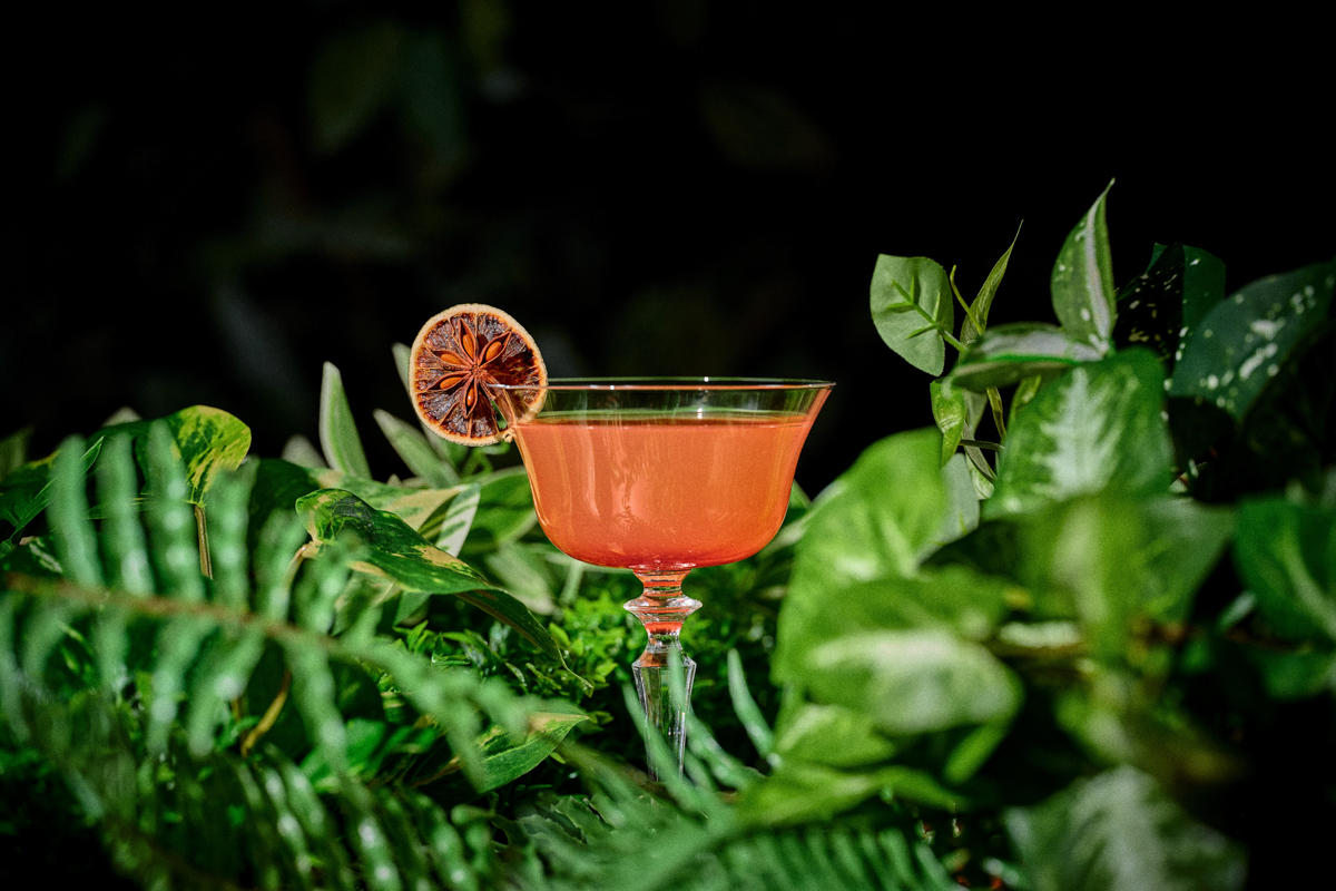 The TRAVELERS HOUSE ROOFTOP BAR