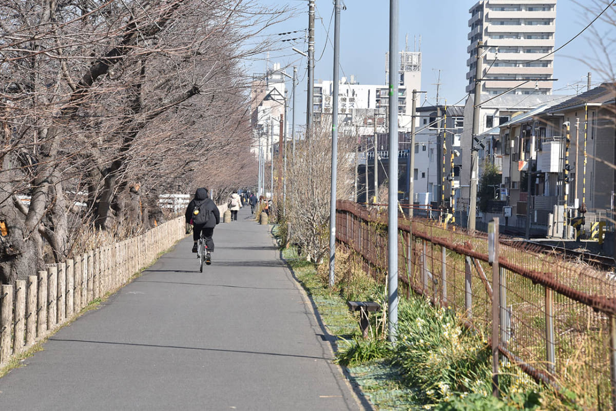 流鉄と新坂川の間にある遊歩道のような道路。犬の散歩やランニングなどをしている人など近隣住民の憩いの場になっている
