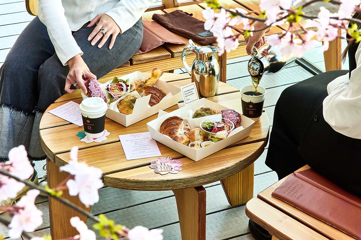 昼のピクニックプラン