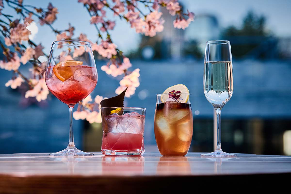 夜のパン飲みプラン